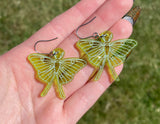 Glittery Luna Moth Dangle Earrings